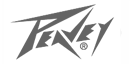 Ampli &eacute;lectrique combo PEAVEY