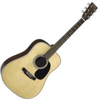 Photo MARTIN D-28