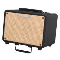 Photo IBANEZ T30 - COMBO ACOUSTIQUE 30W