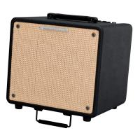 Photo IBANEZ T80N - COMBO ACOUSTIQUE 80W - 1 X 10" AVEC TWEETER
