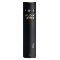 Photo AUDIX M1250B