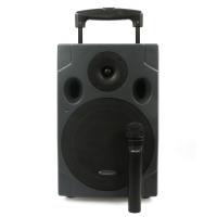 Photo CHESLEY BAM 8 - SYSTEME AUTONOME DE SONORISATION 80W