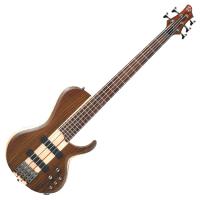 Photo IBANEZ BTB685SC-NTF - IBANEZ BASS WORKSHOP TERRA FIRMA - 5 CORDES