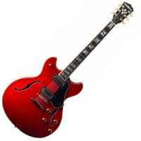 Photo WASHBURN HB35 WINE RED