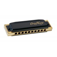 Photo HOHNER CROSS HARP 565/20 F
