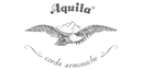 Jeux de cordes banjo Aquila