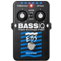Photo EBS BASS IQ