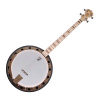 Deering Goodtime Two 19-Fret Tenor - Banjo 4 Cordes