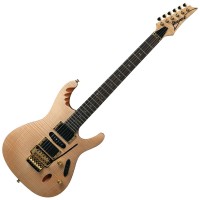 Photo IBANEZ EGEN8-PLB - ÉRABLE FLAMMÉ NATUREL - SIGNATURE HERMAN LI