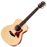 Photo TAYLOR GS MINI