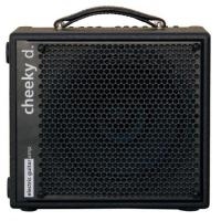 Photo AER CHEEKY D 12 / 240W / HP 12"