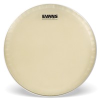 EVANS CS14SS - STACATTO SABLEE 14"