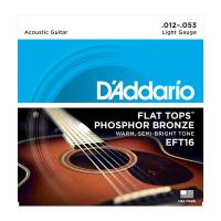 D'ADDARIO ACOUSTIC FLAT TOPS