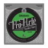 Photo D'Addario EJ29 Pro Arte Rectified Nylon Moderate Tension