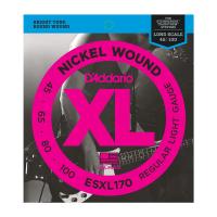 D'ADDARIO ESXL170 DOUBLE BALL REGULAR LIGHT 45/100 LONG SCALE