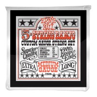 Photo ERNIE BALL FOLK 2309 STAINLESS STEEL BANJO 5-ST LOOP END MEDIUM