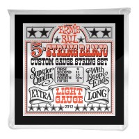 ERNIE BALL BANJO STAINLESS STEEL 5 CORDES