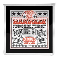 Photo ERNIE BALL FOLK 2320 STAINLESS STEEL MANDOLINE LOOP END MEDIUM