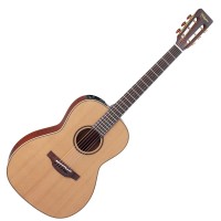 TAKAMINE P3NY ELECTRO NATURAL SATIN