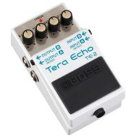 Photo BOSS TE-2 TERA ECHO