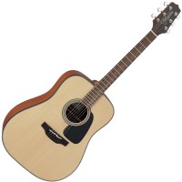 TAKAMINE GD10-NS NATURAL SATIN