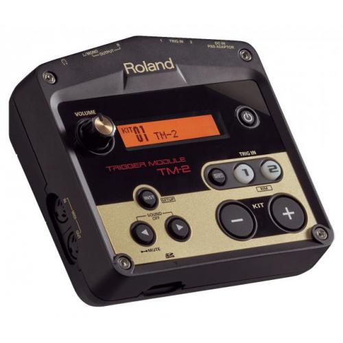 ROLAND TM-2