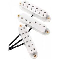 SEYMOUR DUNCAN KIT EVERYTHING AXE WHITE - AXE-SET-W