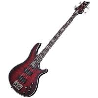 SCHECTER HELLRAISER EXTREME-4