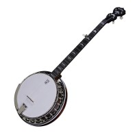 DEERING EAGLE II - BANJO 5 CORDES