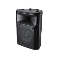 Photo POWER ACOUSTICS ELEVA 8A MK2 - 100W ACTIVE