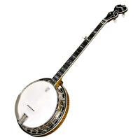 DEERING CALICO - BANJO 5 CORDES