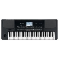 KORG PA300