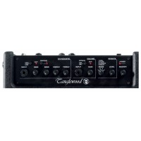 Photo TANGLEWOOD T3