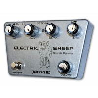 Photo JACQUES ELECTRIC SHEEP