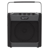 Photo FENDER PASSPORT MINI