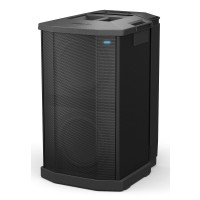 BOSE F1 SUBWOOFER 