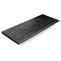 Photo ROLI SEABOARD RISE 25