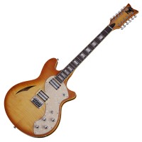 Photo SCHECTER T S/H-12 CLASSIC VINTGAGE NATURAL BURST