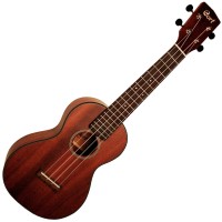 Photo CORT UKULELES UKE-BWCOP NATUREL PORES OUVERTS