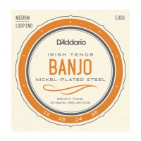 D'ADDARIO EJ63I BANJO IRISH TENOR NICKEL-PLATED STEEL 12/36