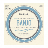 D'ADDARIO EJ69B BANJO 5ST PHOSPHOR BRONZE 9/20