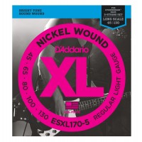 D'ADDARIO ESXL170-5 DOUBLE BALL REGULAR LIGHT 5C 45/130