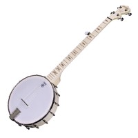 DEERING GOODTIME - BANJO 5 CORDES