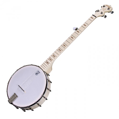 DEERING GOODTIME - BANJO 5 CORDES