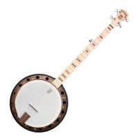 Deering Goodtime Two - Banjo 5 Cordes