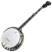 Photo DEERING MAPLE BLOSSOM - BANJO 5 CORDES