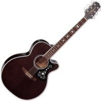 TAKAMINE GN75CE