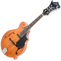 Photo EPIPHONE MM-50E PROFESSIONAL ELECTRIC MANDOLIN