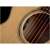 Photo FISHMAN MATRIX INFINITY - FORMAT FORMAT UKULELE