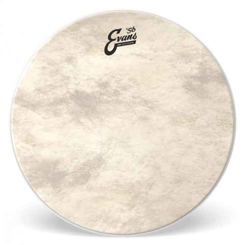 EVANS TT16GB4CT - CALFTONE EQ4 TOM HOOP 16